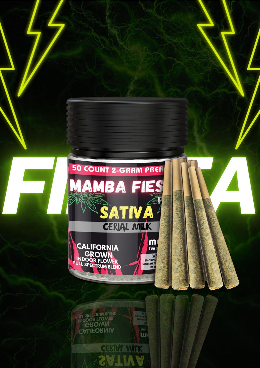 Mamba Fiesta