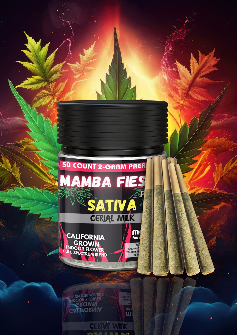 Mamba Fiesta
